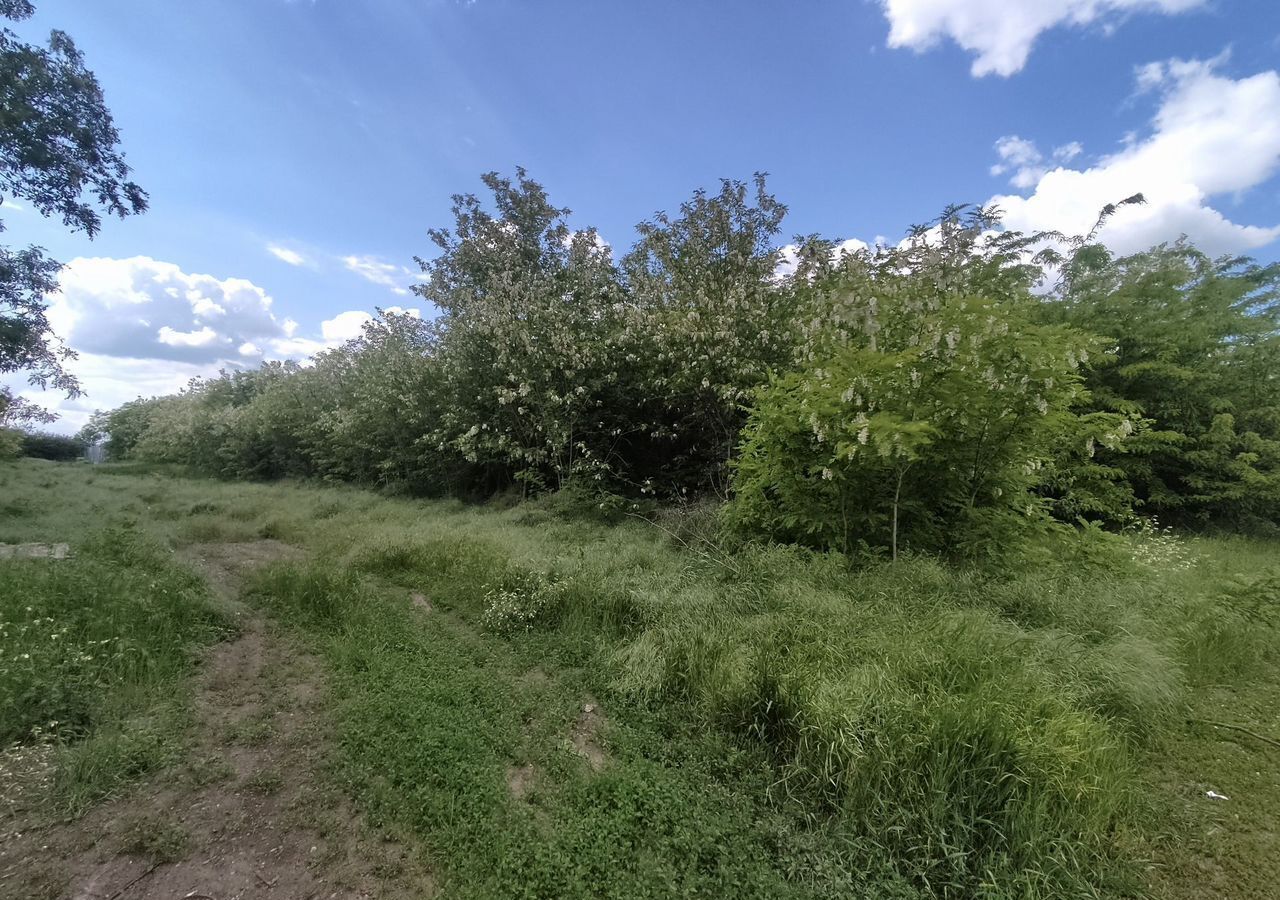 земля г Краснодар п Победитель р-н Прикубанский фото 3