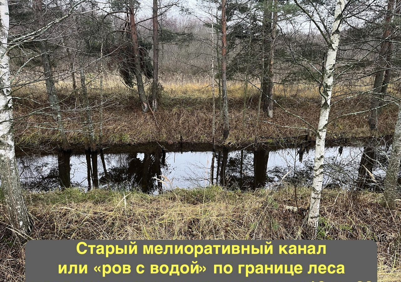 земля городской округ Богородский г Ногинск 51 км, коттеджный пос. Следово, 50, Щёлковское шоссе фото 12