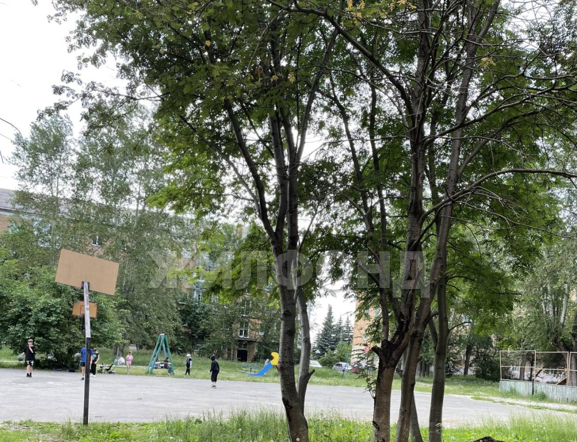квартира г Нижний Тагил р-н Дзержинский Вагонка пр-кт Вагоностроителей 16б м-н фото 9