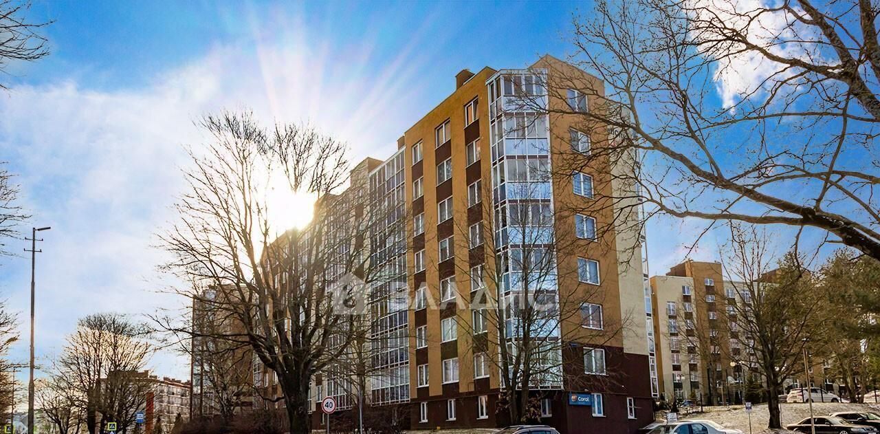 квартира р-н Светлогорский г Светлогорск пр-кт Калининградский 14 фото 35