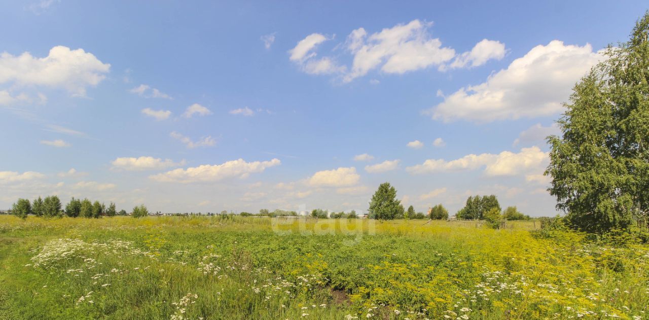 земля г Омск р-н Кировский СОСН Аэрофлот тер., аллея 18-я, 21 фото 21