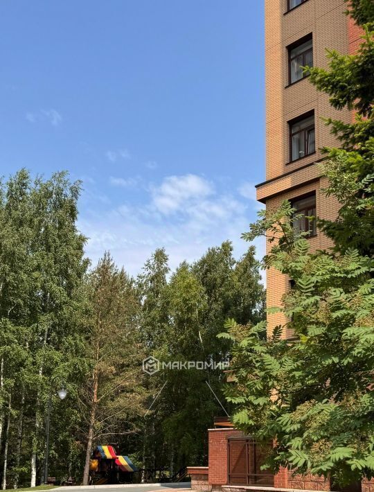 квартира г Новосибирск р-н Заельцовский Заельцовская ул Кедровая 71 фото 33