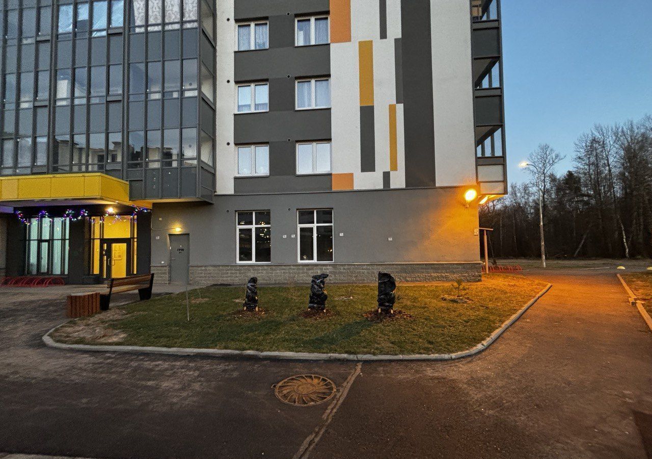 свободного назначения г Санкт-Петербург метро Озерки наб Реки Каменки 21к/1 округ Коломяги фото 5