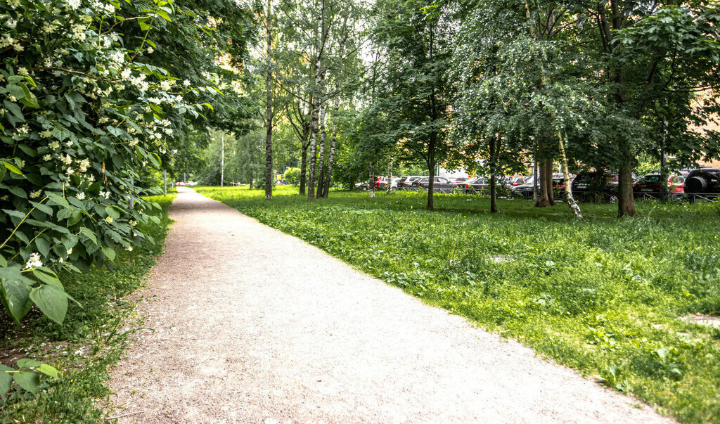 квартира г Санкт-Петербург метро Озерки пр-кт Культуры 6к/2 округ № 15 фото 22