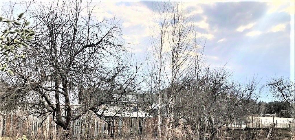 земля г Брянск п Большое Полпино р-н Володарский Буревестник-2 СНТ фото 1