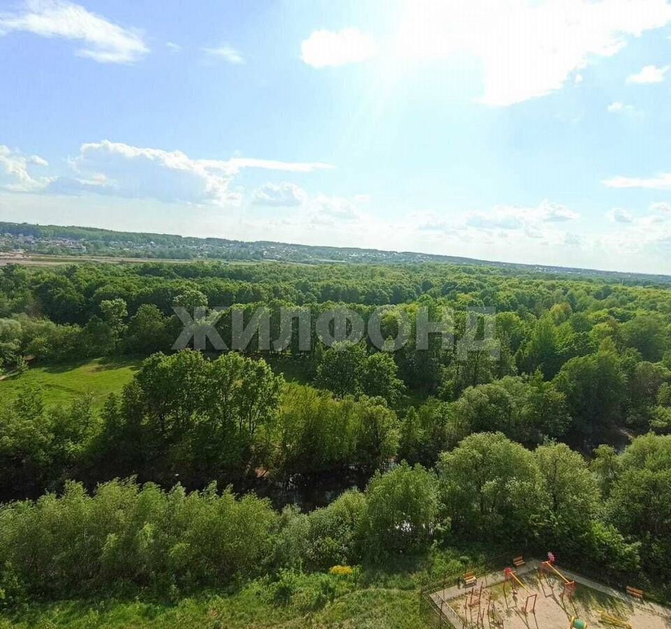 квартира г Брянск рп Радица-Крыловка Бежицкий район ул Мининская 50 фото 16