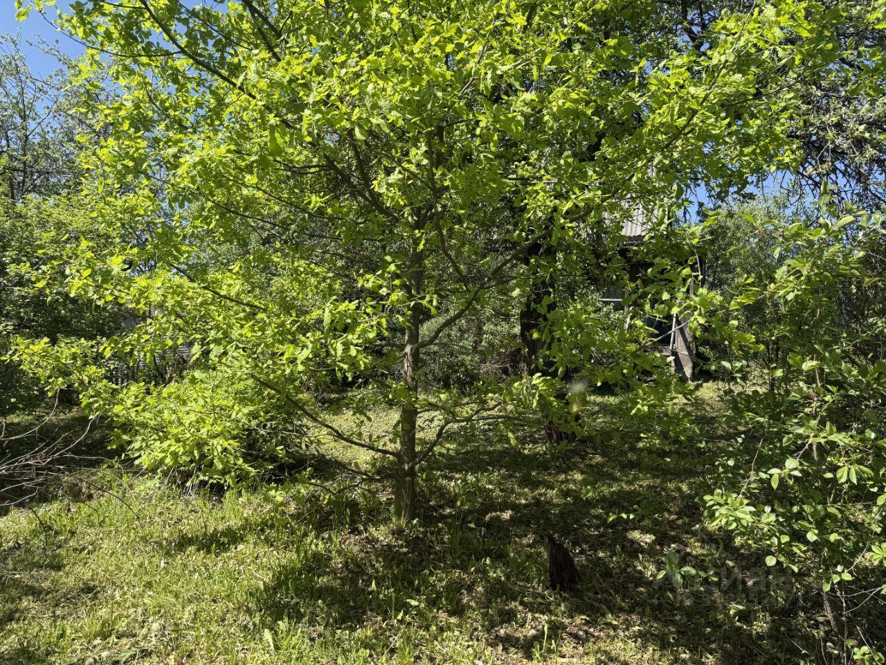 земля городской округ Пушкинский г Красноармейск Шаблыкино, 162 фото 5