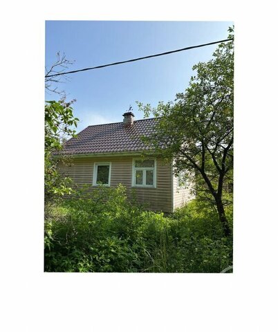 снт Пчелка Лебяженское городское поселение фото