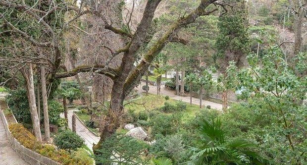 комната г Ялта пгт Кореиз ш Алупкинское 1 фото 2