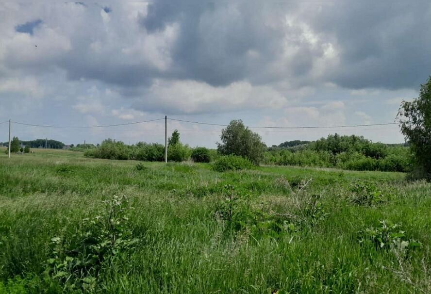 земля г Барнаул р-н Железнодорожный фото 2