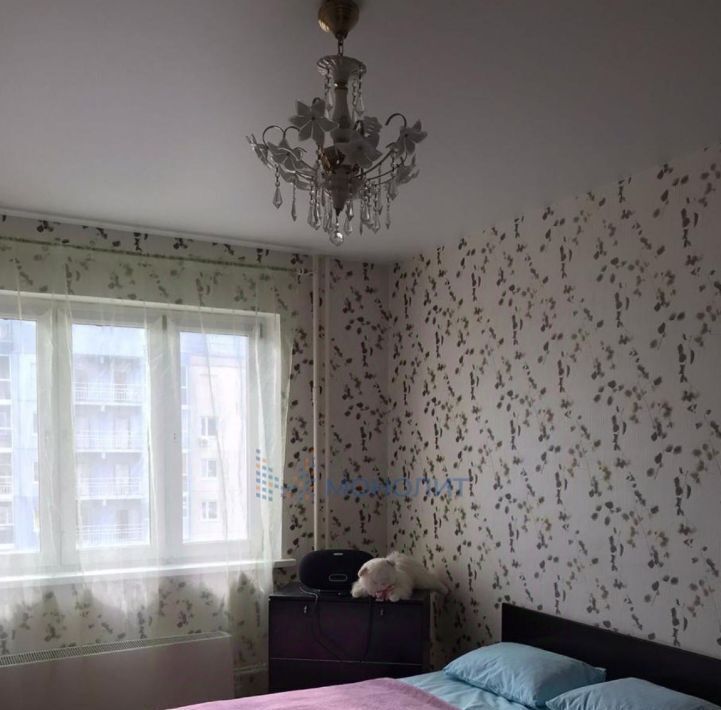 квартира г Нижний Новгород Горьковская ул Богдановича 8 фото 8