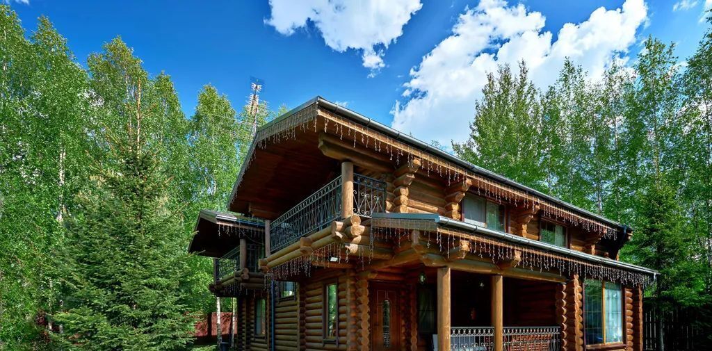 дом г Истра д Петровское 33 фото 1