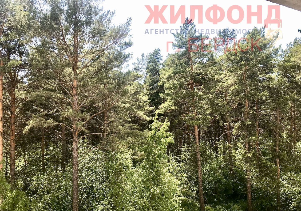 квартира г Бердск ул Морская 44к/2а фото 15