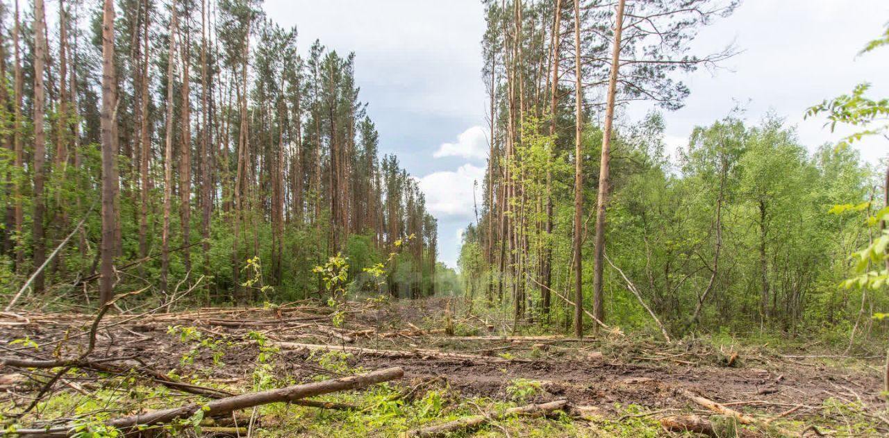 земля г Тобольск р-н мкр Усадьба фото 13