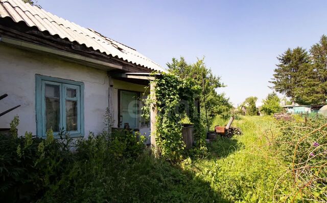 р-н Ленинский ул Борисевича фото