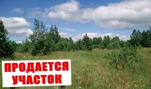 снт Надежда Урожайновское сельское поселение, Симферопольский р-н фото