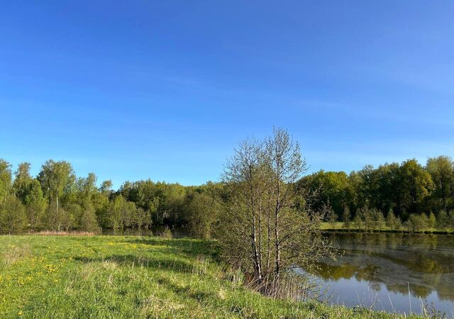 земля д Суропцово 68 км, Краснозаводск, Ярославское шоссе фото