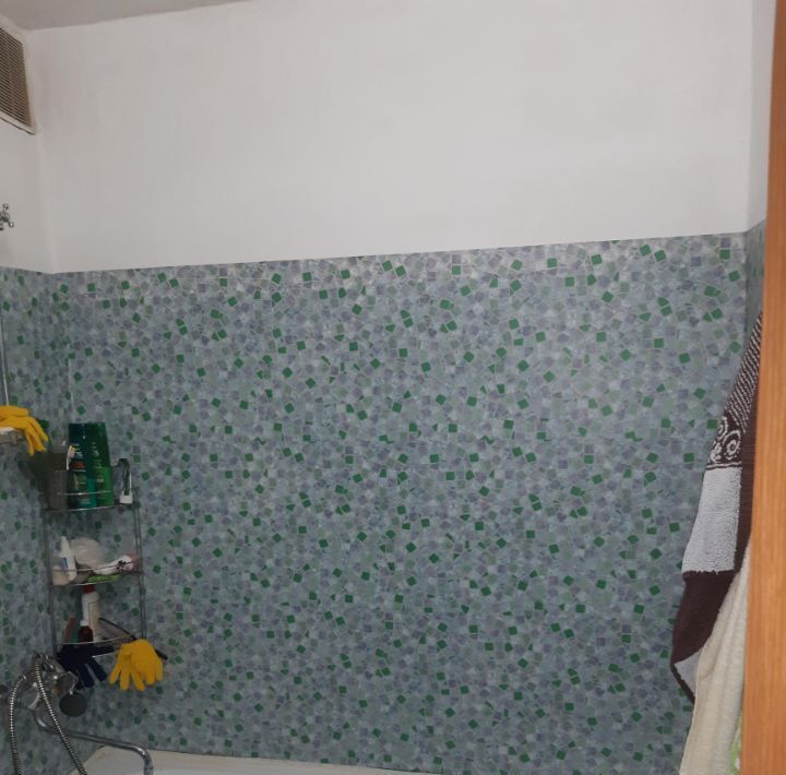 квартира г Нижний Новгород Буревестник ул Чаадаева 33 фото 4