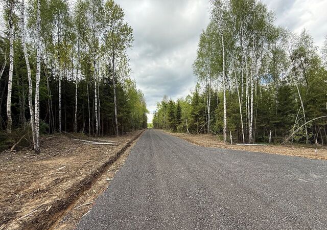 земля 33 км, КП Медведки, Рогачёвское шоссе фото