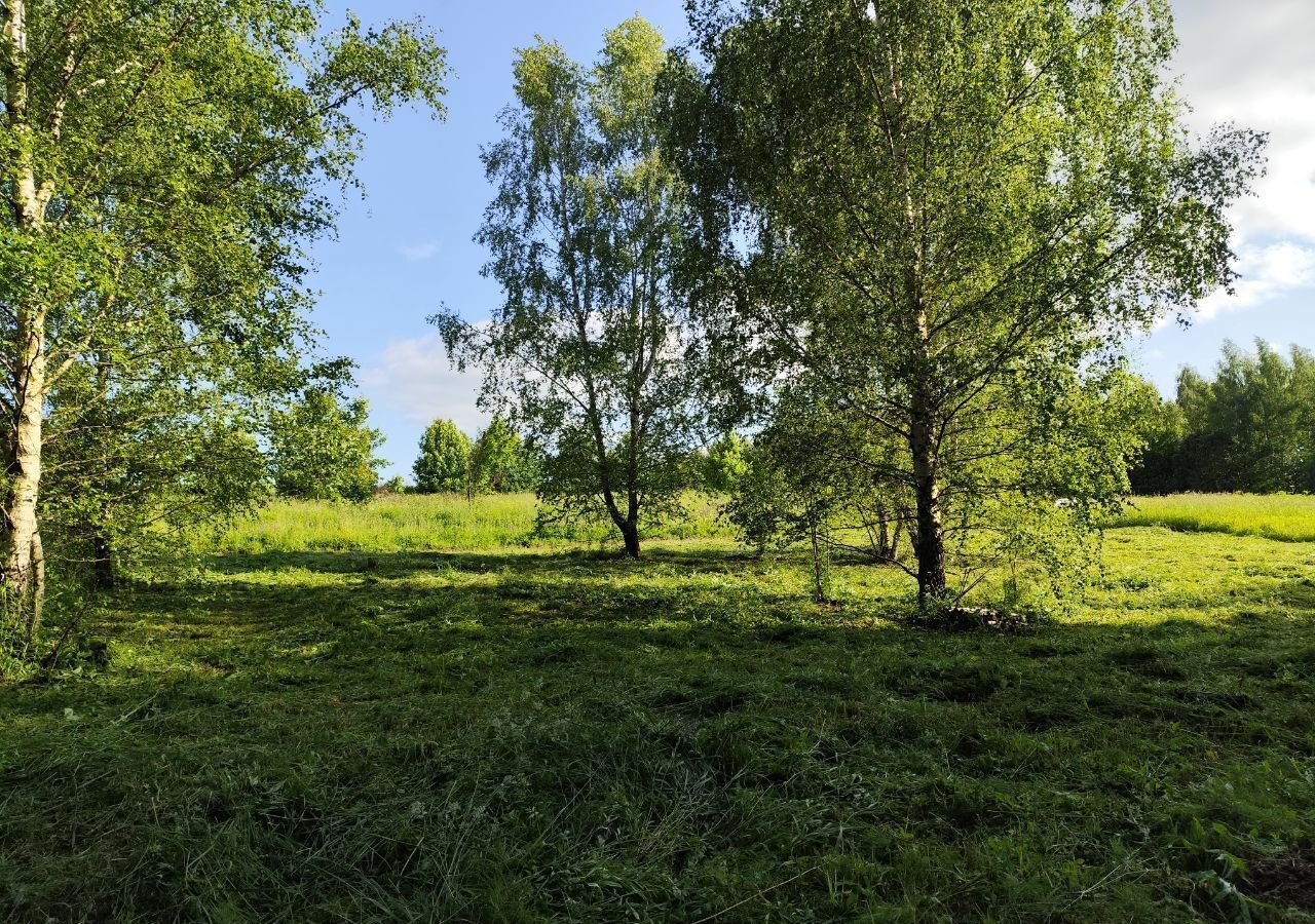 земля г Владимир с Кусуново р-н Октябрьский фото 11