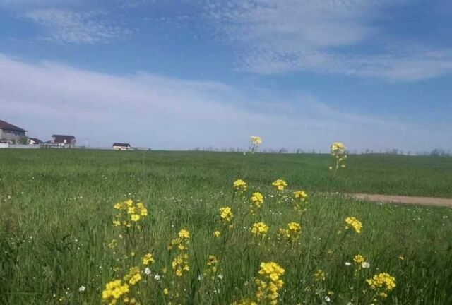 земля снт Ромашка ул Каштановая 3 Анапа, дачное некоммерческое товарищество фото