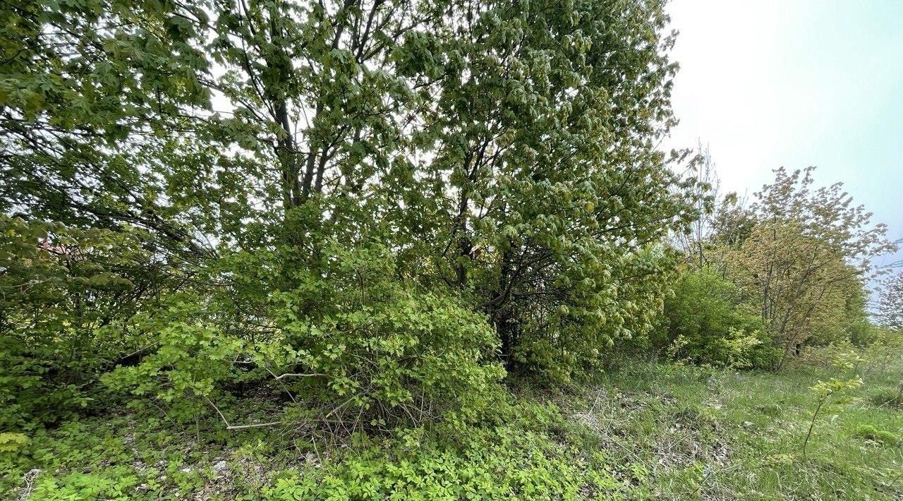земля г Пущино ул Старопущинская Серпухов городской округ фото 1