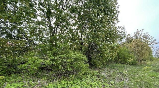 земля ул Старопущинская Серпухов городской округ фото