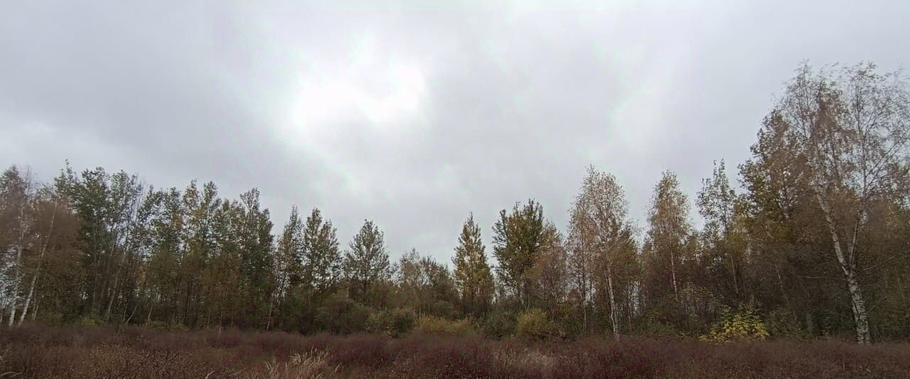 земля г Шатура фото 2