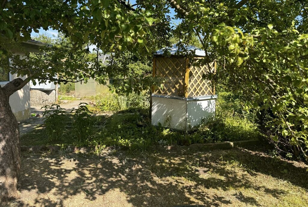 земля г Калининград р-н Центральный снт Дружба-2 пр-д Земляничный 38 фото 8