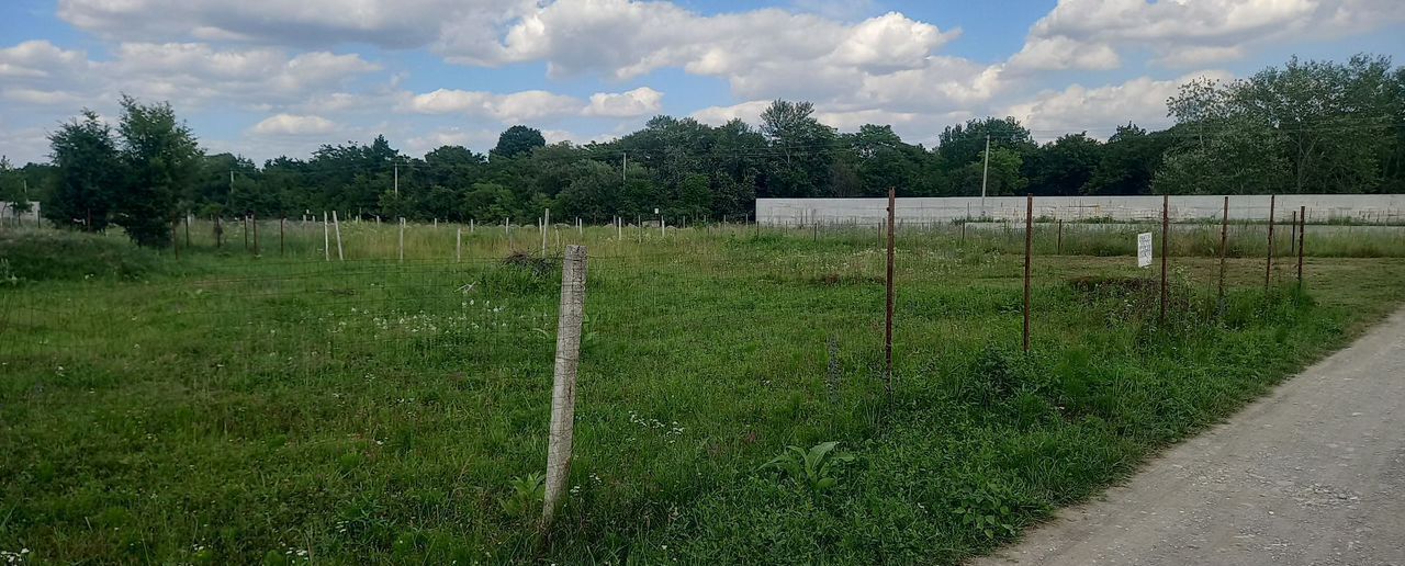 дом г Аргун ул Бауди Балатханова фото 4