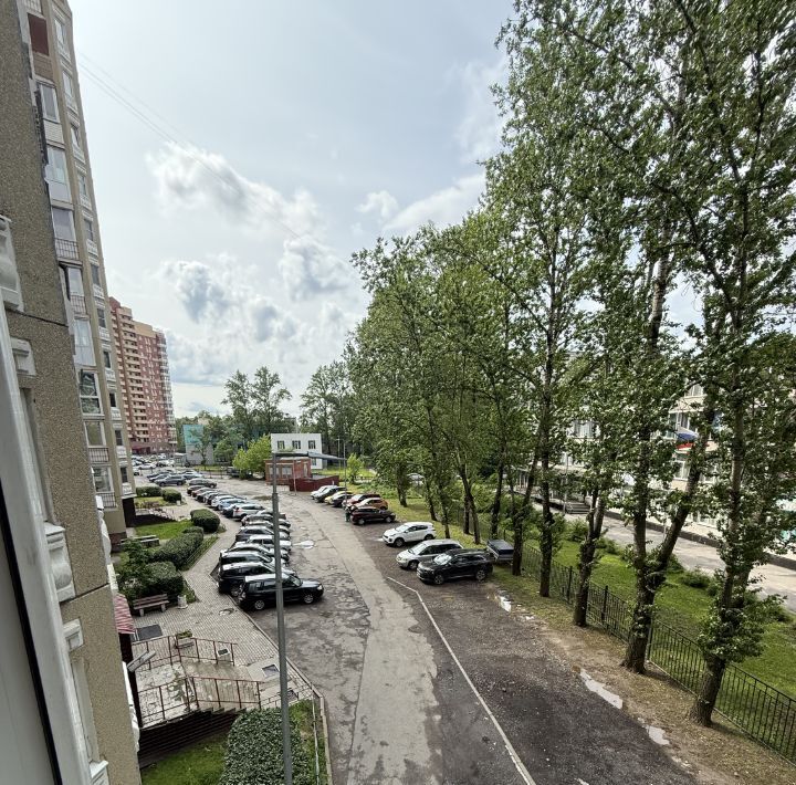 квартира г Санкт-Петербург метро Проспект Славы пер Альпийский 32 округ Георгиевский фото 9