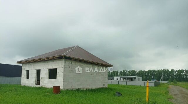 Артемкино дп, ул. Рябиновая фото Артемкино дп, ул. Рябиновая фото