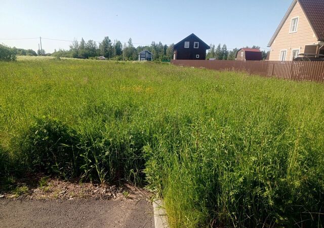 п Молодцово ул Центральная Мурманское шоссе, 32 км, Кировское городское поселение, Кировск фото
