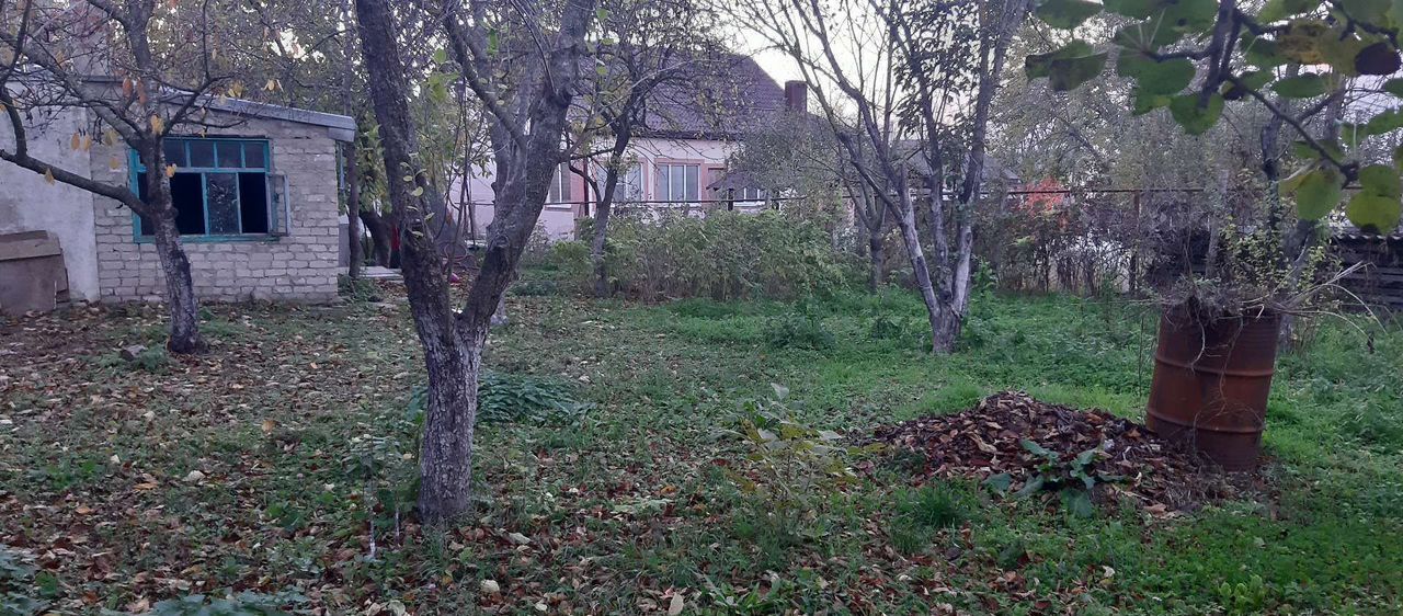 земля г Новороссийск ст-ца Раевская ул Советов 51а муниципальное образование Новороссийск фото 6