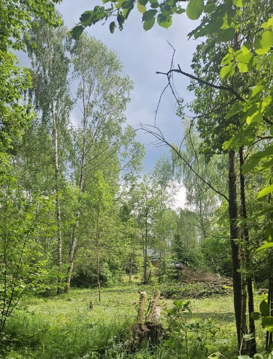 земля городской округ Одинцовский г Звенигород р-н территория Хуторок фото 5
