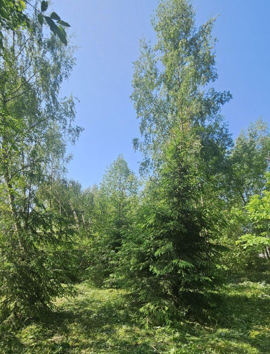 земля городской округ Одинцовский г Звенигород р-н территория Хуторок фото 9