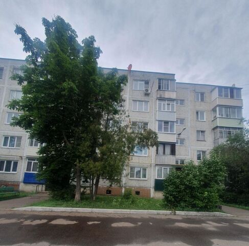 ул Рабочая 1а имени Воровского пгт, Железнодорожная, Московская область, Богородский городской округ фото