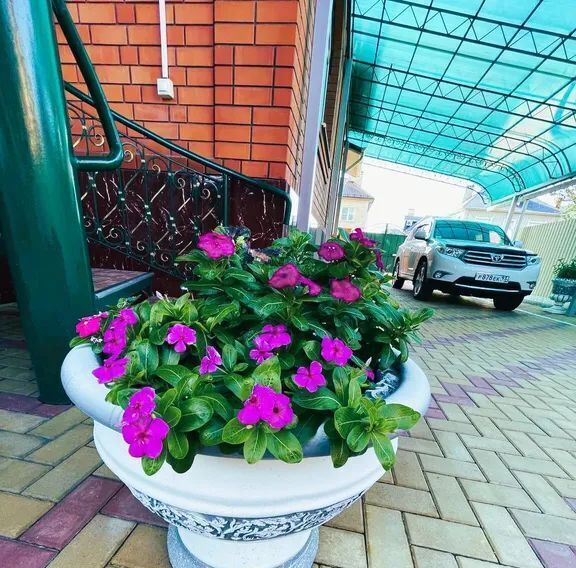 комната р-н Ейский г Ейск ул Николаевская 25 фото 16