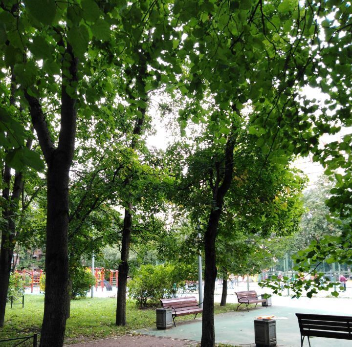 квартира г Санкт-Петербург метро Академическая пр-кт Гражданский 19к/2 округ Гражданка фото 26