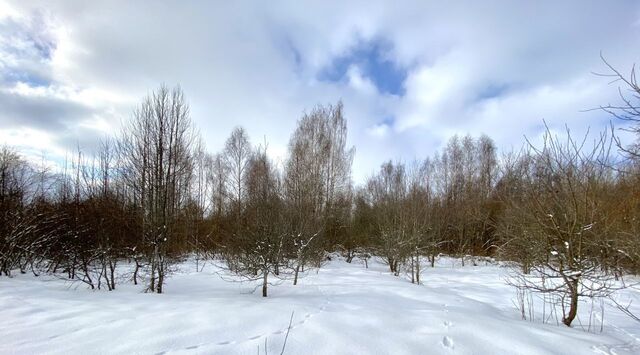 земля д Черма фото
