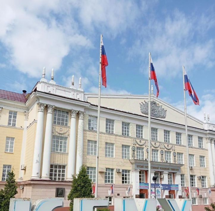 квартира г Курск р-н Железнодорожный ул Дубровинского 5 фото 12