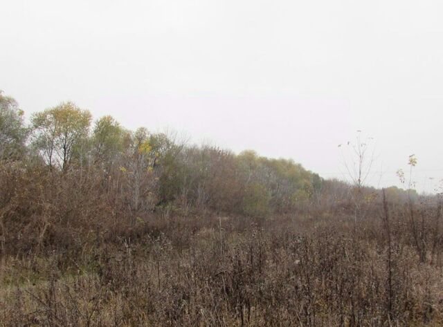 земля д Тарбушево Коломна городской округ фото
