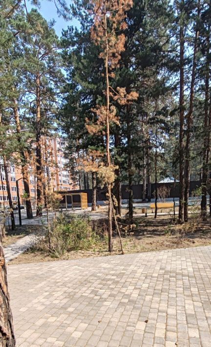 квартира г Чита р-н Центральный ул Токмакова 48 фото 3