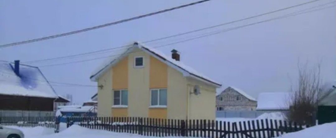 дом г Выкса с Борковка ул Заводская 39 фото 1