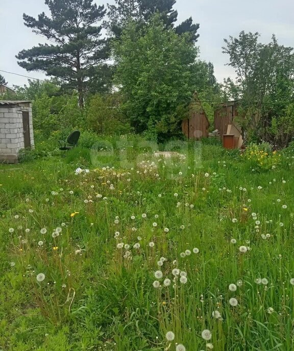 дом г Абакан ул Родниковая дачный район Подсинее, СОСН Подсинее-Берёзка фото 28