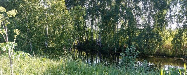 сельсовет, ДНТ Реестр, Новосибирск, Кудряшовский фото