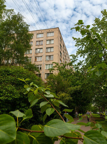 квартира метро Проспект Просвещения дом 16к/1 фото