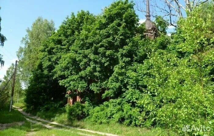 земля г Бор деревня Межуйки, 27/2 фото 1