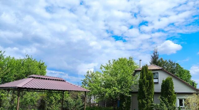 снт Металлург 2К фото