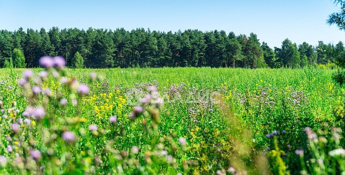 земля городской округ Богородский г Старая Купавна ул Советская 22 км, Горьковское шоссе фото 2